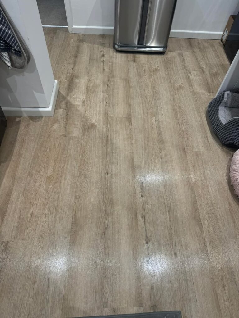 Reflecting on a Year of Growth and Gratitude