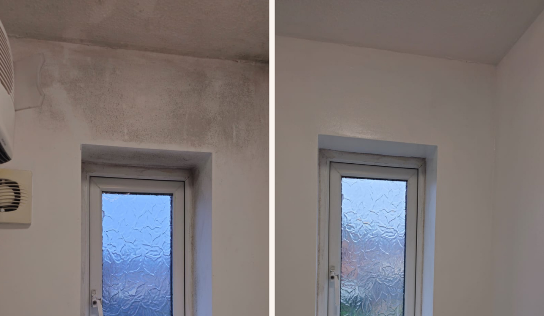 Before and after mould removal and painting around a window in a bathroom, showing a clean, freshly painted surface after addressing mould issues.